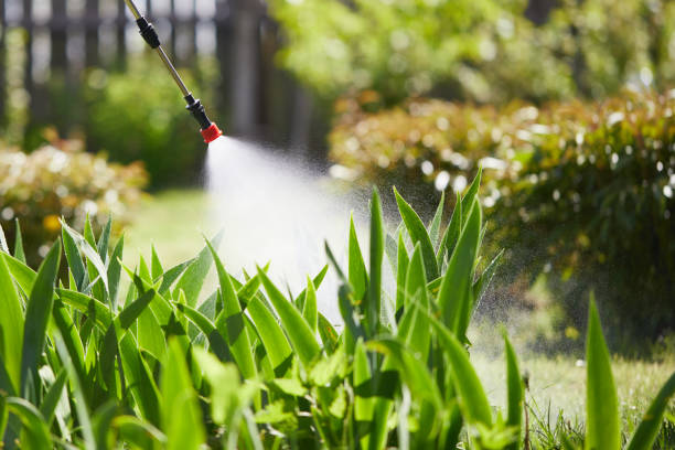 24/7 Emergency Wasp Removal experts in Madison, IL