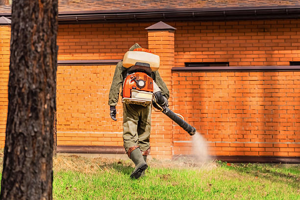 Top rated local Wasp Removal specialists in Madison, IL